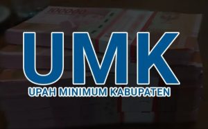 UMK Karimun Rp4,2 Juta: Kabar Bahagia atau Sekadar Angka di Atas Kertas?