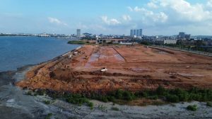 Indonesia Kampanye Mangrove di Dunia, Tapi Membiarkannya Hancur di Batam–Kepri