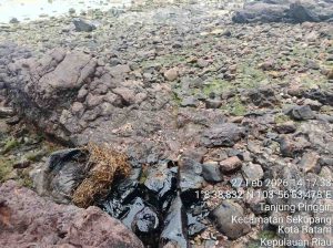 Residu Hitam Masih Membekas, Pantai Dangas Jadi Ujian Serius Penegakan Hukum Lingkungan di Kepri