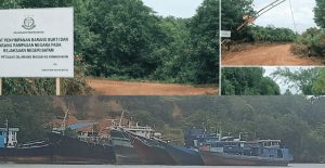 Pelabuhan Tikus Sambau Nongsa Diduga Jadi Jalur Kayu Meranti Ilegal dari Selatpanjang