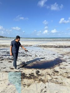 Limbah Minyak Hitam Kembali Hantam Pantai Trikora, GHLHI Kepri Desak Penegakan Hukum Tegas
