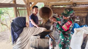 ​Ringankan Beban Warga, Pak Salim Sediakan Giling Padi Gratis di Desa Cikuya ​Wujud Gotong Royong Dukung Semangat TMMD Ke-127 Kodim 0713/Brebes