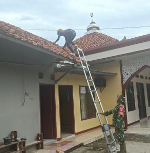TPQ Al-Huda Cikuya Kini Terang Berkat Program Tambahan TMMD Reguler ke-127 Kodim 0713/Brebes