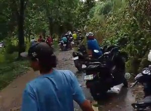 Pemalang Dilanda Cuaca Ekstrem, Pohon Tumbang Tutup Sebagian Jalan di Pegongsoran ​