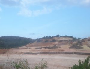 Debu Ganggu Warga, Mangrove Ditimbun: Proyek Cut and Fill Panaran Sagulung Jadi Sorotan