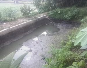 Pencurian Ikan Air Tawar Marak di Pagelaran, Petani Rugi Puluhan Juta Rupiah dan Desak Aparat Bertindak Tegas