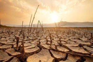 Indonesia Berpotensi Dilanda El Nino “Godzilla”, Ini Penjelasan BMKG
