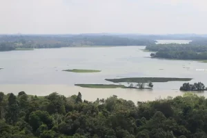 Bukan Sekadar El Nino: Batam Terancam Kering Karena Kawasan Resapan Air Dihancurkan Sistematis