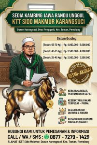 Terapkan Sistem Grading, KTT Sido Makmur Penggarit Hadirkan Standar Baru Penjualan Hewan Qurban