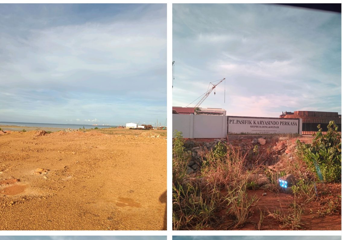 Diduga Kebal Hukum, PT Fasifik Karya Sindo Perkasa Kembali Lanjutkan Penimbunan Mangrove di Nongsa