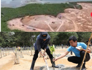 Kepala BP Batam Tanam 2.000 Mangrove di Nongsa Bersama Mahasiswa, Publik Soroti Maraknya Dugaan Penimbunan dan Pembabatan Hutan Mangrove di Batam yang Belum Ditindak Tegas