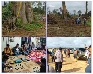 Organisasi Sabang dan kesultanan Sambaliung resmi menyatakan mosi tidak percaya dan kecaman keras terhadap PT Tridaya Hutan Lestari (PT THL).