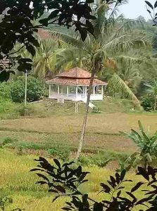Tokoh Adat Lampung Utara Minta Gubernur Mirza Selamatkan Situs Bersejarah Cangguk Gattcak