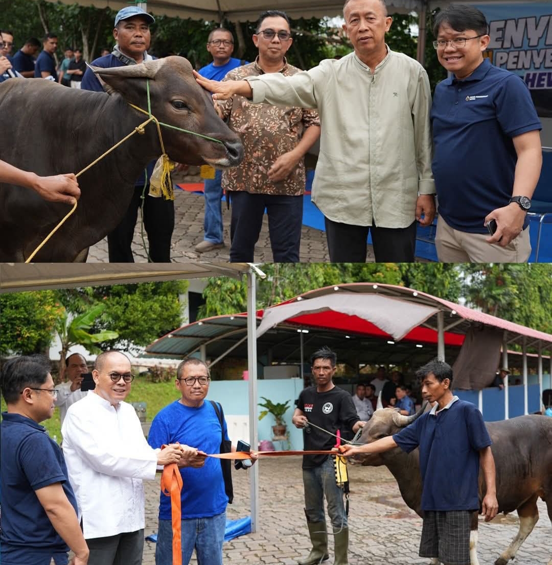 BP Batam Sembelih 33 Hewan Kurban, Tebar Kepedulian dan Kebahagiaan untuk Masyarakat