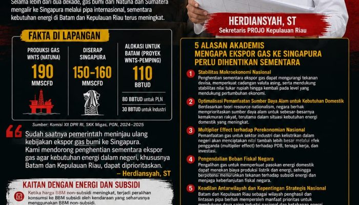 Gas Natuna Mengalir ke Singapura, Batam Baru Kebagian? Projo Kepri Desak Pemerintah Hentikan Sementara Ekspor Gas Bumi
