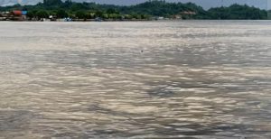Sungai Segah Tercemar, Pemerintah Diam? Sumber Kehidupan Warga Berau Dipertaruhkan