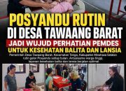 Posyandu Rutin di Desa Tawaaang Barat jadi Wujud Perhatian Pemdes Untuk Kesehatan Balita dan Lansia