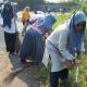 Camat Pemalang Pimpin Korve Jumat Bersih di Kawasan Sirkuit Pantai Widuri