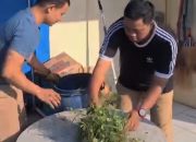 Wujudkan Lingkungan Kerja Asri, Pemcam Ulujami Gelar Korve JATENG ASRI RHAPSODI