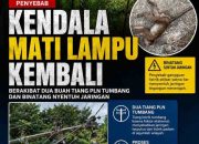 Penyebab Kendala Mati Lampu Kembali, Berakibat Dua Buah Tiang PLN Tumbang Dan Binatang Nyentuh Jaringan