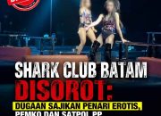 SHARK CLUB BATAM DISOROT: Dugaan Pertunjukan Erotis Dipertanyakan, Pemko dan Satpol PP Diminta Bertindak
