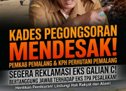 Kerusakan Lingkungan Eks Galian C Kawasan Hutan, Kades Pegongsoran Desak Perhutani dan Penambang Bertanggung Jawab