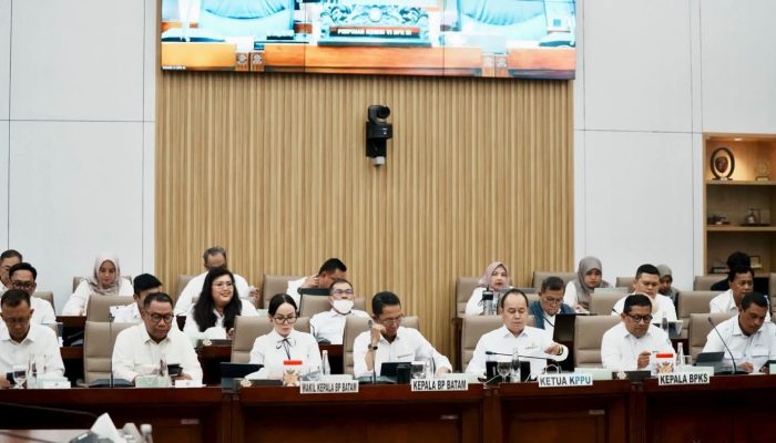Amsakar Bawa RKA BP Batam 2027 ke DPR RI, Rp665 Miliar Disiapkan untuk Infrastruktur