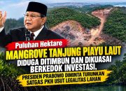 Puluhan Hektare Mangrove Tanjung Piayu Laut Diduga Ditimbun dan Dikuasai Berkedok Investasi, Presiden Prabowo Diminta Turunkan Satgas PKH Usut Legalitas Lahan