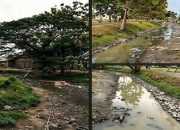 Aliansi Pemalang Lestari: Limbah Usaha Pengolahan Usus di Desa Serang Ancam Kesehatan Warga