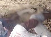 Longsor Terjang Desa Telagasana, Pemalang: Warga Lakukan Evakuasi Mandiri