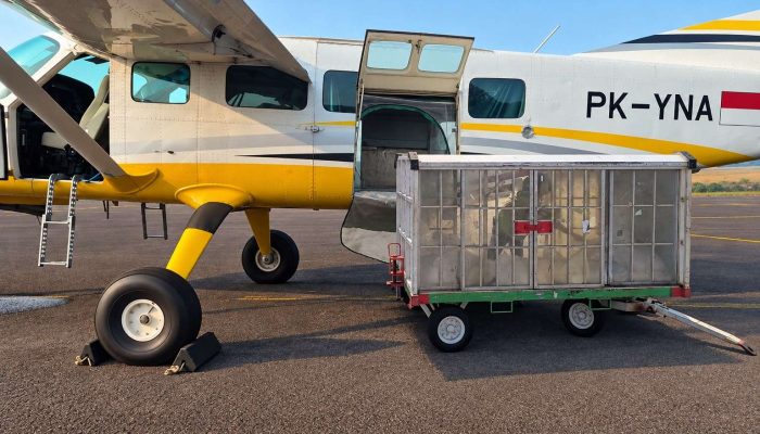 BP Batam Siapkan Operasi Modifikasi Cuaca 26 Oktober–2 November, Antisipasi Penurunan Air Waduk