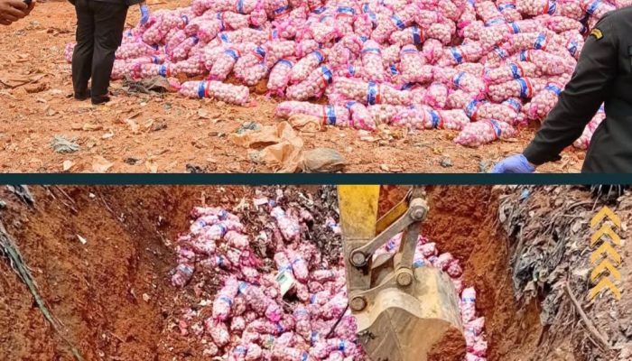 Karantina Kepri Musnahkan 29 Ton Bawang Putih Impor Asal Cina, Seluruh Muatan Rusak
