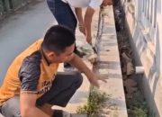 Tingkatkan Kualitas Pelayanan Publik, Jajaran Kecamatan Ulujami Rutin Gelar Aksi “Jumat Bersih”  